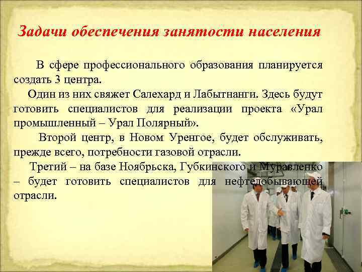 Задачи обеспечения занятости населения В сфере профессионального образования планируется создать 3 центра. Один из