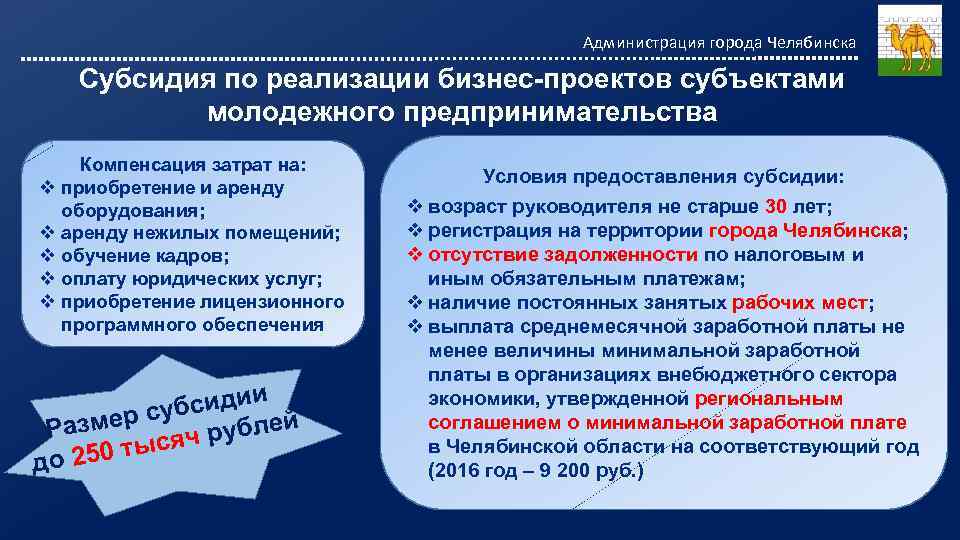 Администрация города Челябинска Субсидия по реализации бизнес-проектов субъектами молодежного предпринимательства Компенсация затрат на: v