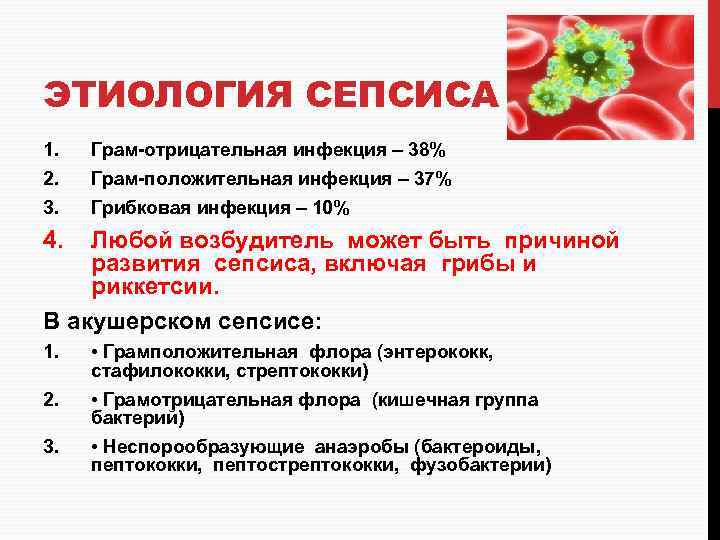 ЭТИОЛОГИЯ СЕПСИСА 1. 2. 3. Грам-отрицательная инфекция – 38% Грам-положительная инфекция – 37% Грибковая