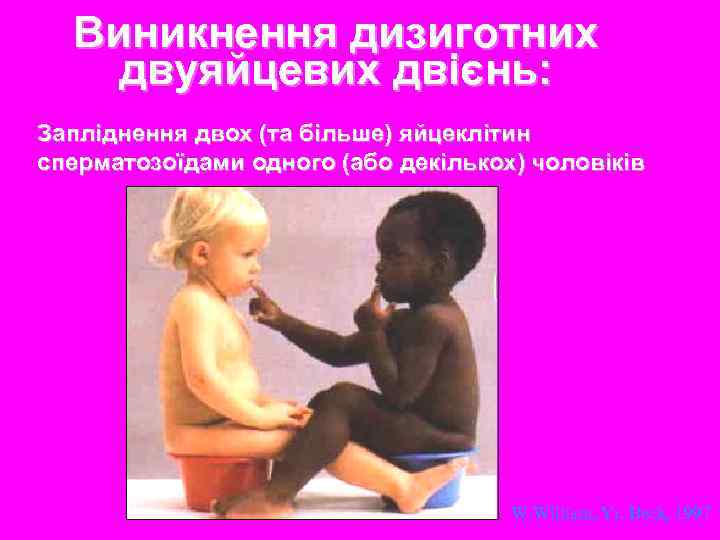 Виникнення дизиготних двуяйцевих двієнь: Запліднення двох (та більше) яйцеклітин сперматозоїдами одного (або декількох) чоловіків