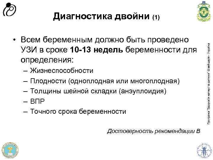  • Всем беременным должно быть проведено УЗИ в сроке 10 -13 недель беременности