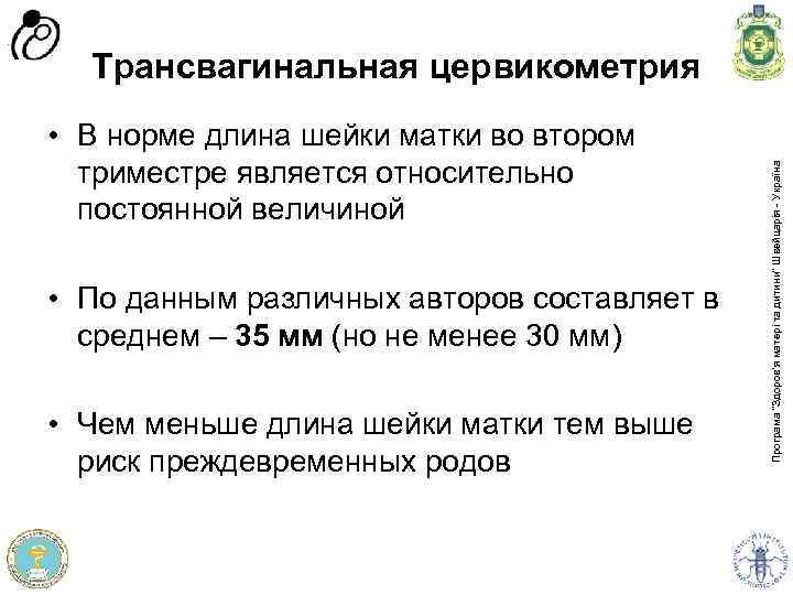  • В норме длина шейки матки во втором триместре является относительно постоянной величиной