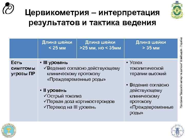 Длина шейки < 25 мм Длина шейки >25 мм, но < 35 мм Длина