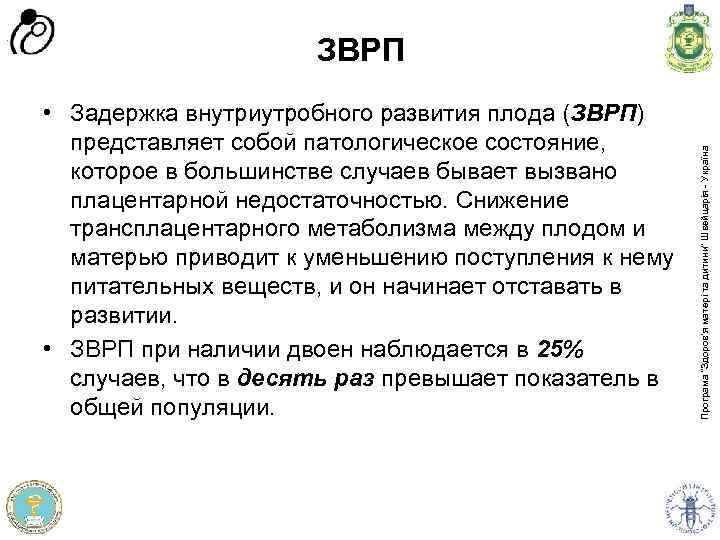  • Задержка внутриутробного развития плода (ЗВРП) представляет собой патологическое состояние, которое в большинстве