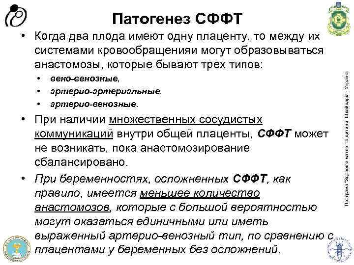 Патогенез СФФТ • • • вено-венозные, артерио-артериальные, артерио-венозные. • При наличии множественных сосудистых коммуникаций