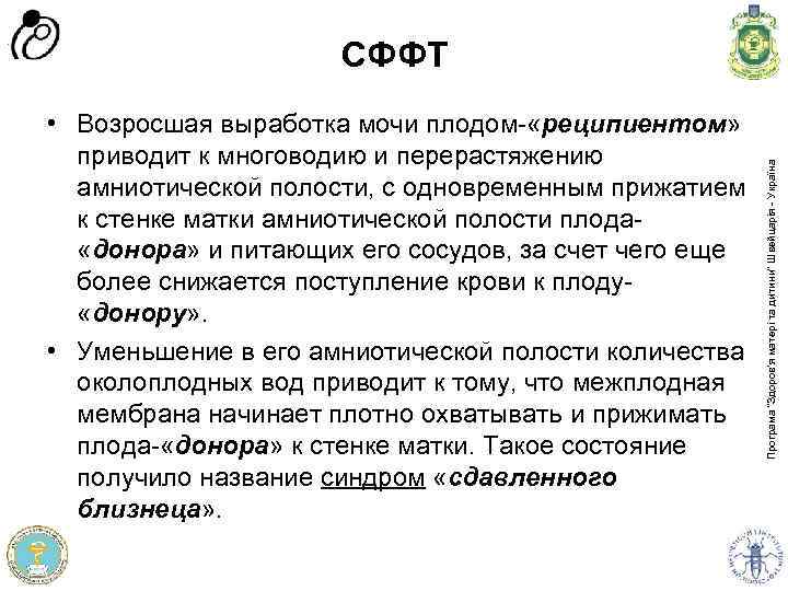  • Возросшая выработка мочи плодом- «реципиентом» приводит к многоводию и перерастяжению амниотической полости,