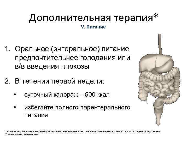 Дополнительная терапия* V. Питание 1. Оральное (энтеральное) питание предпочтительнее голодания или в/в введения глюкозы