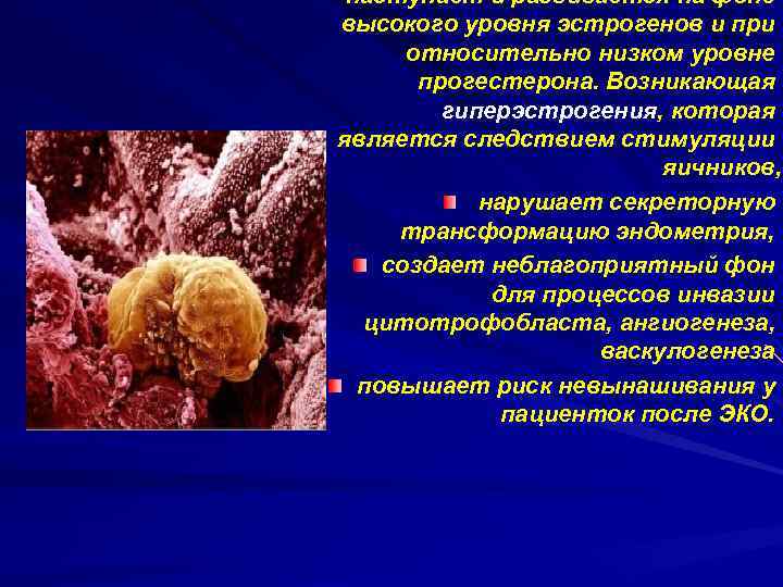 наступает и развивается на фоне высокого уровня эстрогенов и при относительно низком уровне прогестерона.