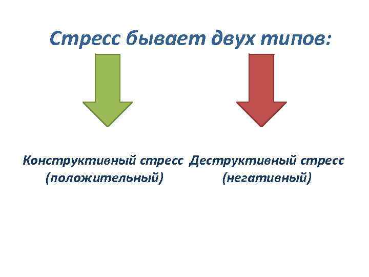 Динамика положительная и отрицательная