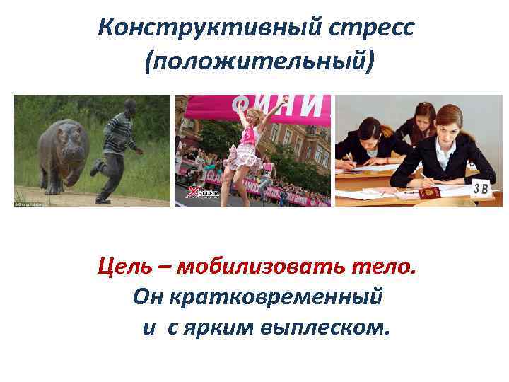 Конструктивный стресс (положительный) Цель – мобилизовать тело. Он кратковременный и с ярким выплеском. 