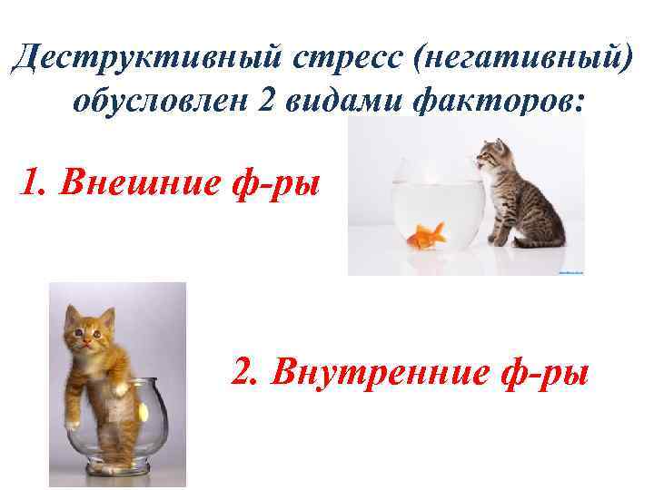 Деструктивный стресс (негативный) обусловлен 2 видами факторов: 1. Внешние ф-ры 2. Внутренние ф-ры 