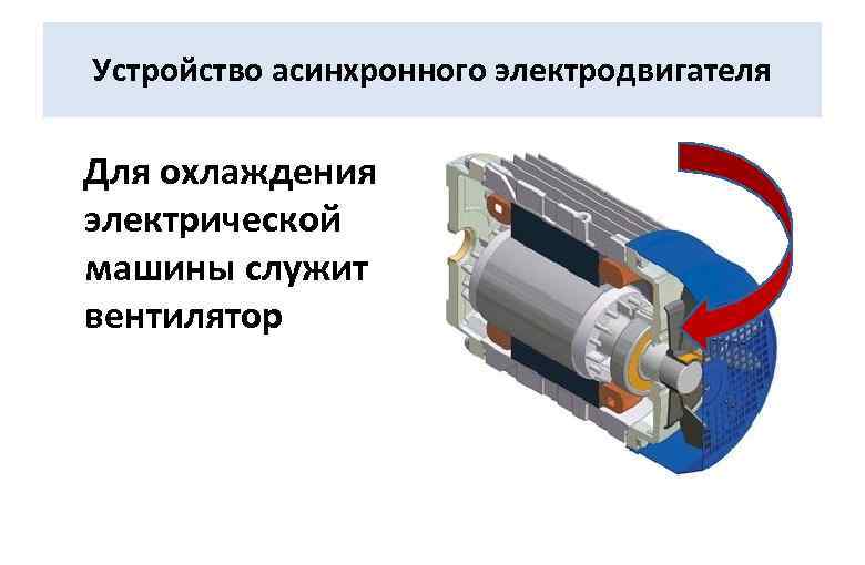 Устройство асинхронного электродвигателя Для охлаждения электрической машины служит вентилятор 