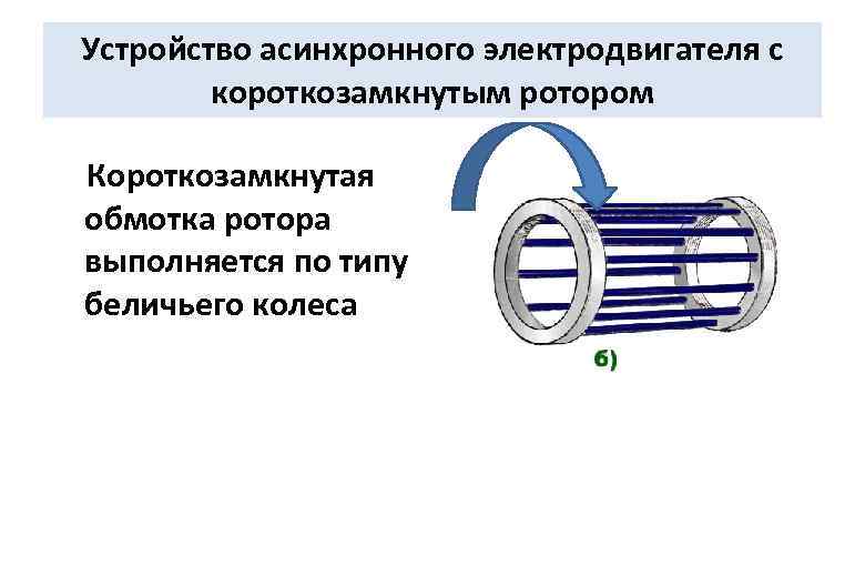 Устройство асинхронного электродвигателя с короткозамкнутым ротором Короткозамкнутая обмотка ротора выполняется по типу беличьего колеса