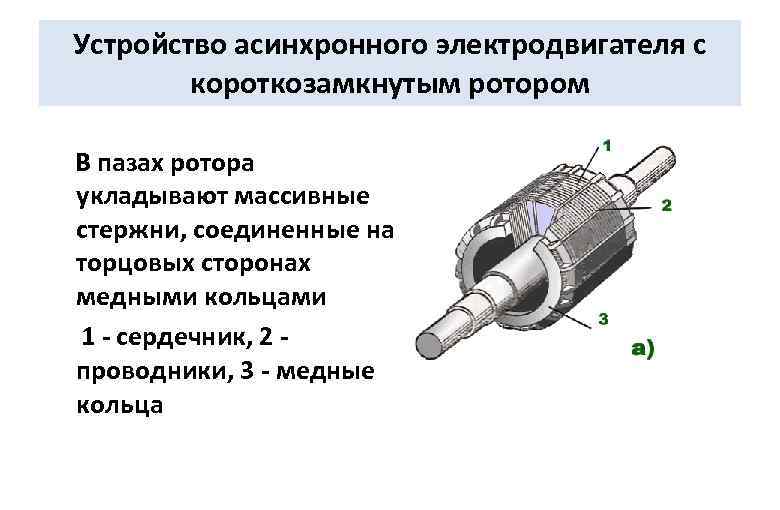 Устройство асинхронного электродвигателя с короткозамкнутым ротором В пазах ротора укладывают массивные стержни, соединенные на