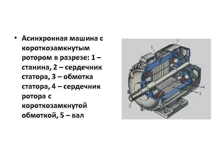  • Асинхронная машина с короткозамкнутым ротором в разрезе: 1 – станина, 2 –