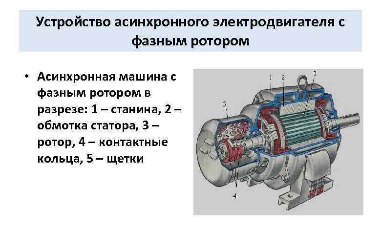 Устройство асинхронного электродвигателя с фазным ротором • Асинхронная машина с фазным ротором в разрезе: