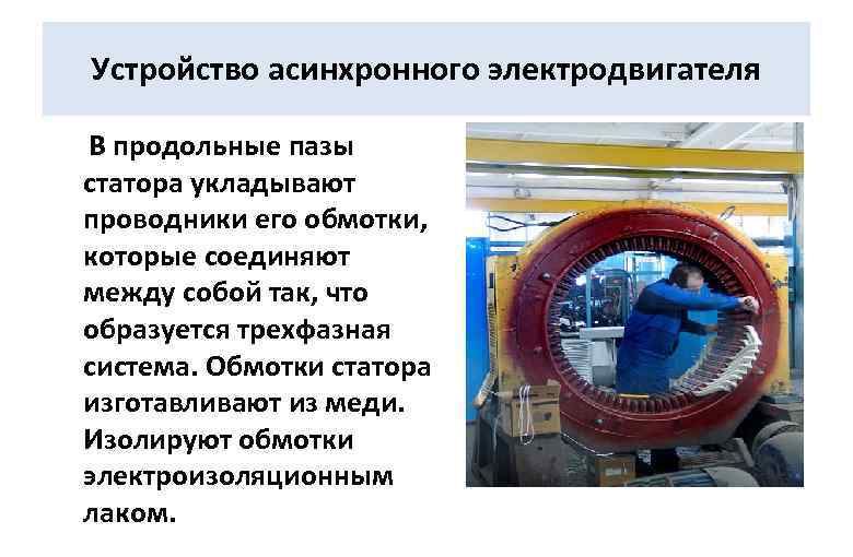 Устройство асинхронного электродвигателя В продольные пазы статора укладывают проводники его обмотки, которые соединяют между