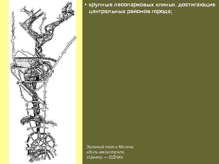  • крупные лесопарковых клинья, достигающие центральных районов города; Зеленый клин в Москве вдоль