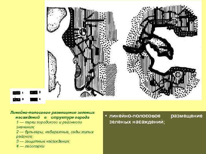 Линейно-полосовое размещение зеленых насаждений в структуре города 1 — парки городского и районного значения;