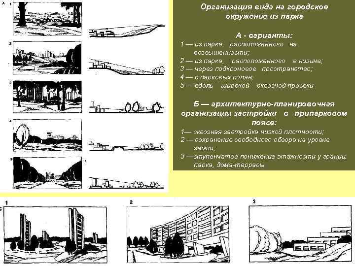 Организация вида на городское окружение из парка А - варианты: 1 — из парка,