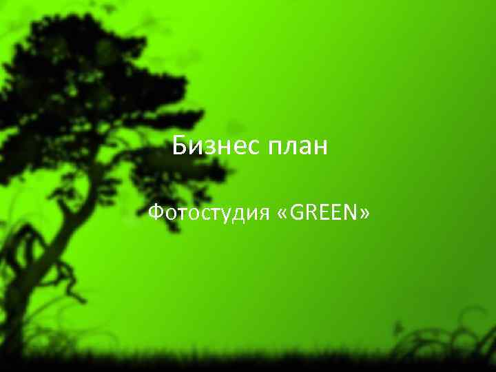 Бизнес план Фотостудия «GREEN» 