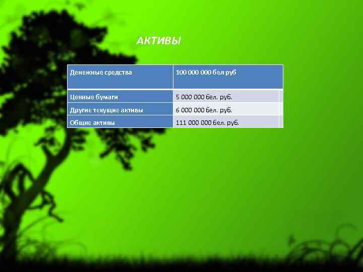 АКТИВЫ Денежные средства 100 000 бел руб Ценные бумаги 5 000 бел. руб. Другие