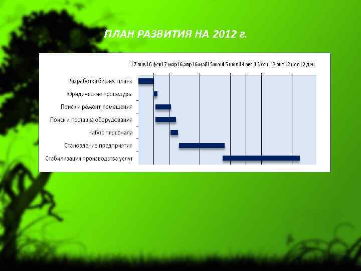 ПЛАН РАЗВИТИЯ НА 2012 г. 