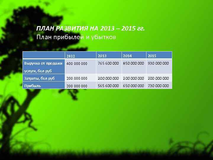 ПЛАН РАЗВИТИЯ НА 2013 – 2015 гг. План прибылей и убытков 2012 Выручка от