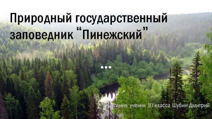 Природный государственный заповедник “Пинежский” Выполнил: ученик 10 класса Шубин Дмитрий 