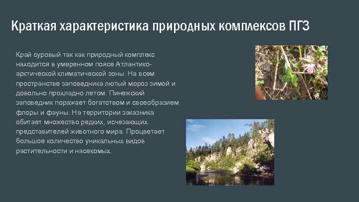Краткая характеристика природных комплексов ПГЗ Край суровый так как природный комплекс находится в умеренном