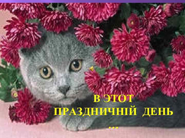 В ЭТОТ ПРАЗДНИЧНІЙ ДЕНЬ … 