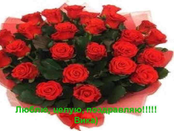 Люблю, целую, поздравляю!!!!! Вика) 