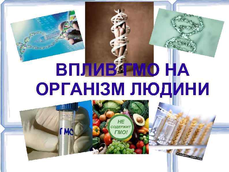 ВПЛИВ ГМО НА ОРГАНІЗМ ЛЮДИНИ 