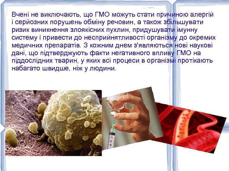 Вчені не виключають, що ГМО можуть стати причиною алергій і серйозних порушень обміну речовин,