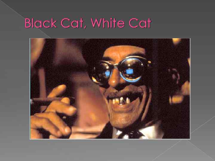 Black Cat, White Cat 