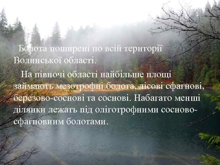  Болота поширені по всій території Волинської області. На півночі області найбільше площі займають