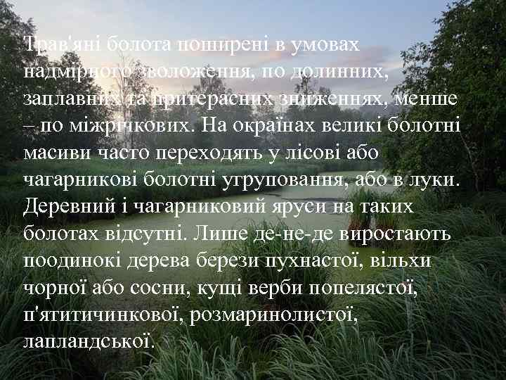 Трав'яні болота поширені в умовах надмірного зволоження, по долинних, заплавних та притерасних зниженнях, менше