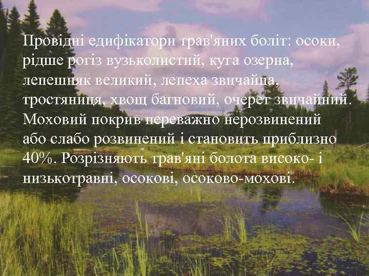 Провідні едифікатори трав'яних боліт: осоки, рідше рогіз вузьколистий, куга озерна, лепешняк великий, лепеха звичайна,