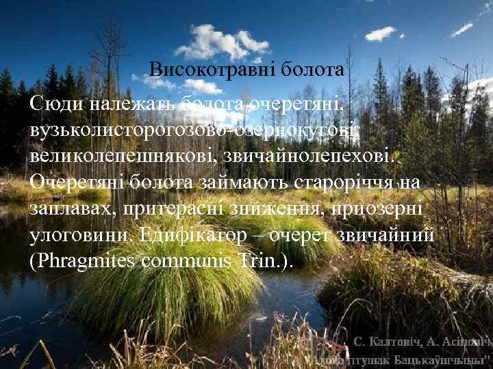 Високотравні болота Сюди належать болота очеретяні, вузьколисторогозово-озернокугові, великолепешнякові, звичайнолепехові. Очеретяні болота займають староріччя на