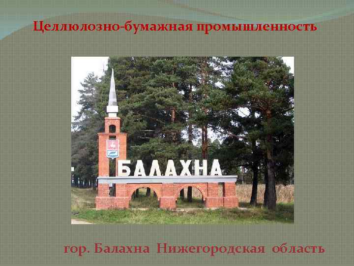 Целлюлозно-бумажная промышленность гор. Балахна Нижегородская область 