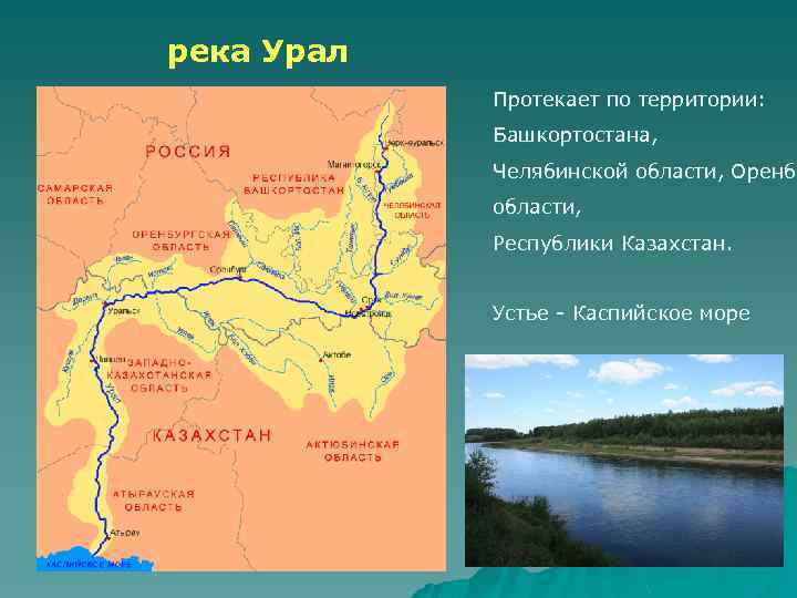 река Урал Протекает по территории: Башкортостана, Челябинской области, Оренбу области, Республики Казахстан. Устье -