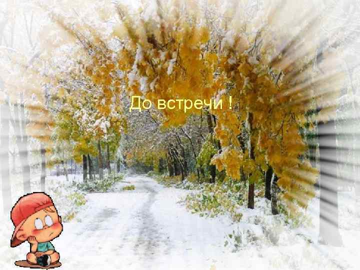 До встречи ! 