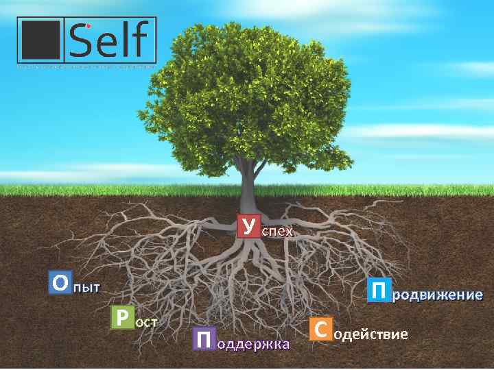 У спех О пыт Р ост П родвижение П оддержка С одействие 