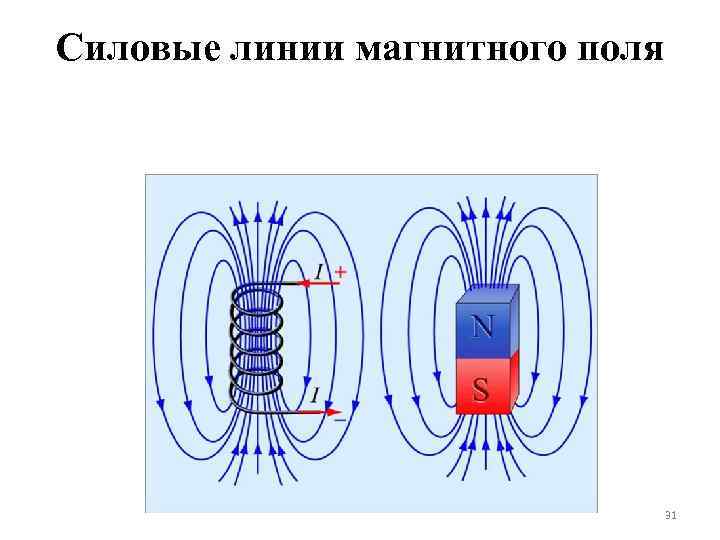 Силовые линии магнитного поля 31 