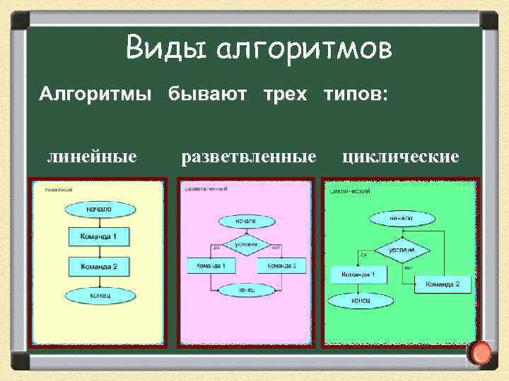 Виды алгоритмов Алгоритмы бывают трех типов: линейные разветвленные циклические 