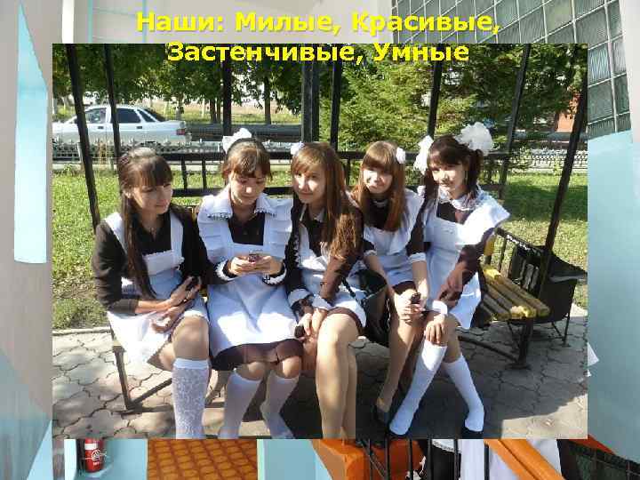 Наши: Милые, Красивые, Застенчивые, Умные 