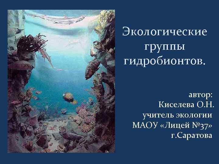 Экологические группы гидробионтов. автор: Киселева О. Н. учитель экологии МАОУ «Лицей № 37» г.