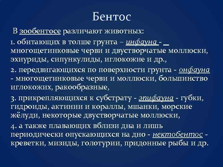 Бентос В зообентосе различают животных: 1. обитающих в толше грунта – инфауна многощетинковые черви