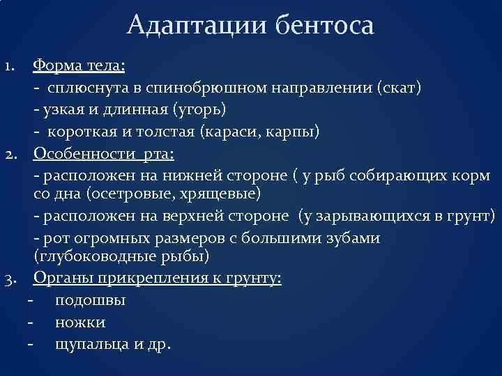 Адаптации бентоса 1. Форма тела: - сплюснута в спинобрюшном направлении (скат) - узкая и