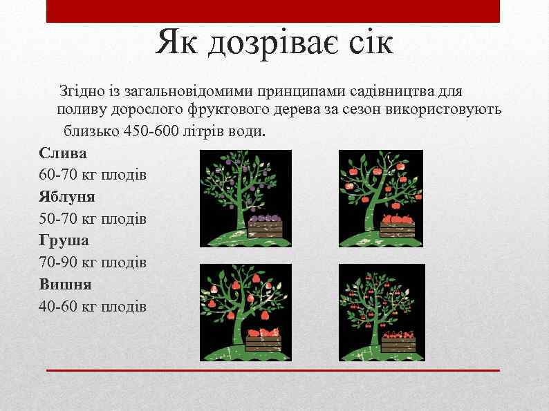 Як дозріває сік Згідно iз загальновідомими принципами садівництва для поливу дорослого фруктового дерева за